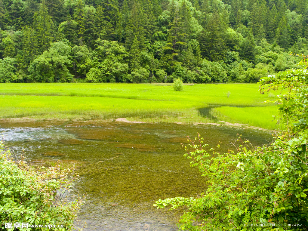 九寨沟湿地