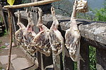 腊肉