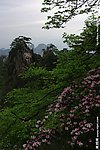 黄山