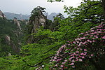 黄山