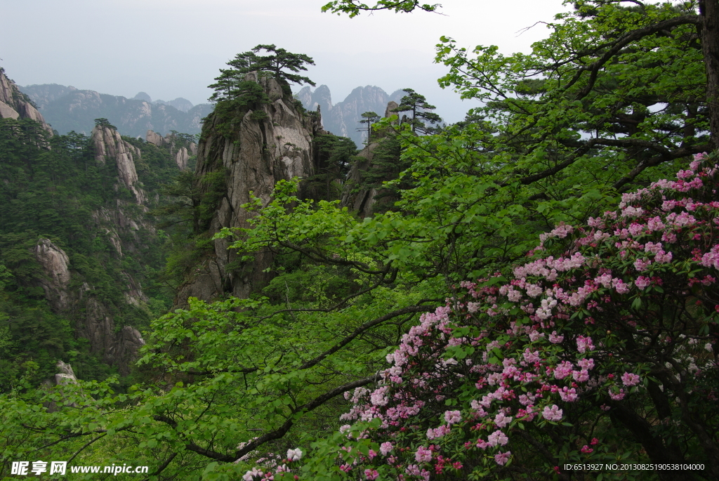 黄山