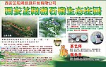 生态庄园