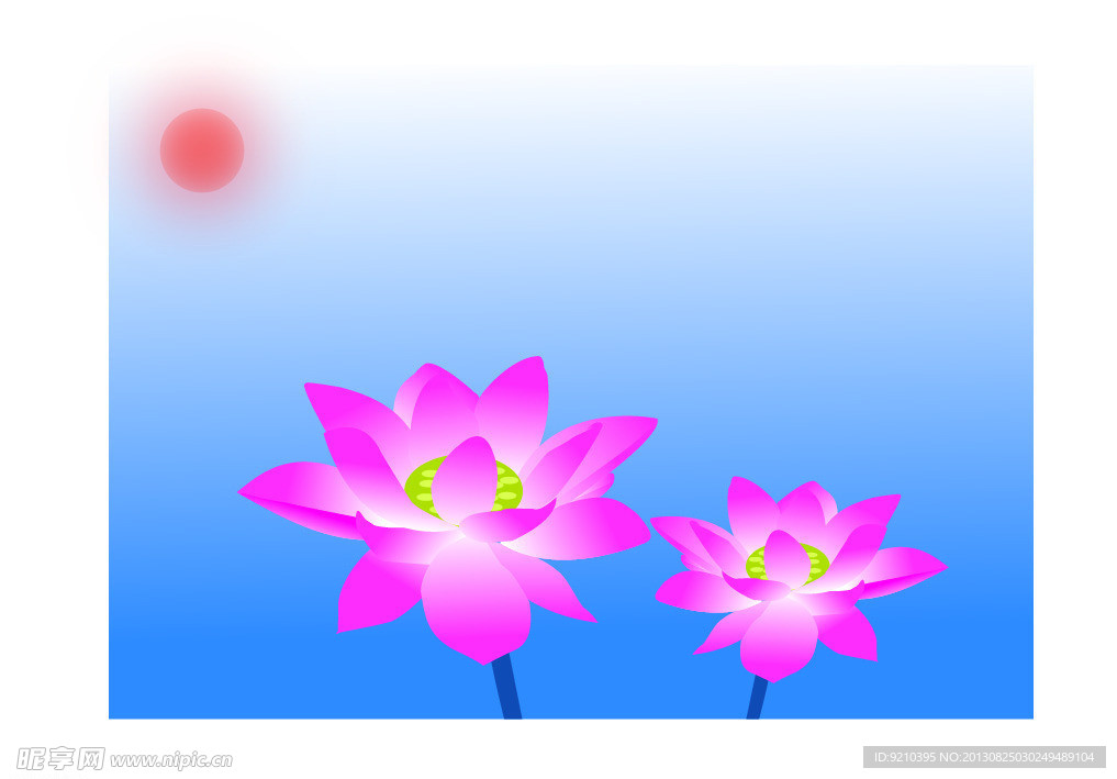荷花