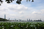 城市景观
