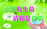 绿色环保标语