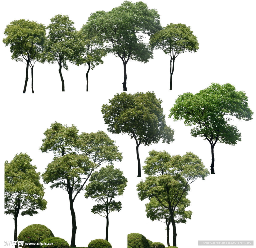 树木集体素材
