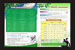 夏令营单页 绿色单页