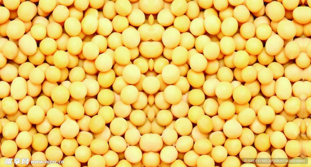 黄豆