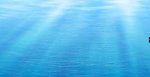 海水