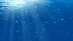 海水