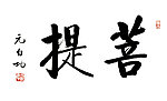 启功菩提