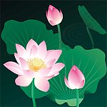 荷花图