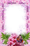 花样相框