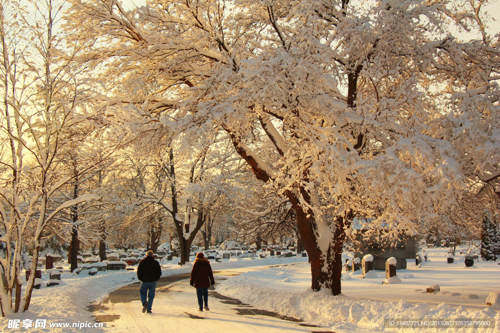 雪后漫步