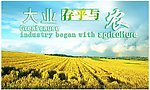 农企业 壁画