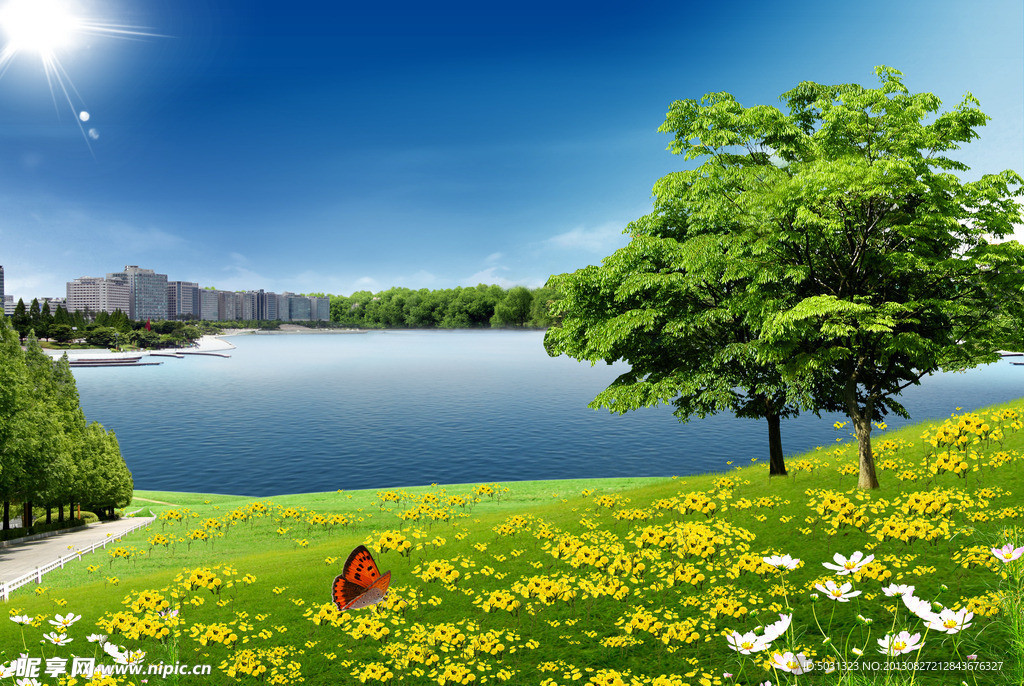 户外风景