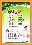 特色医疗