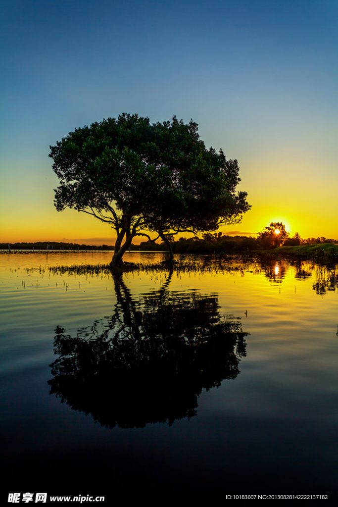 夕阳美景