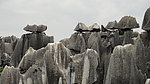 石林