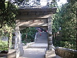 泰山