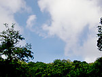 泰山