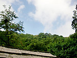 泰山