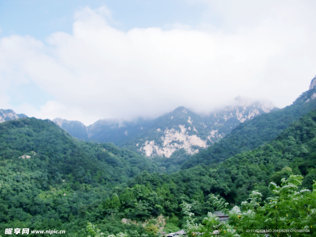 泰山