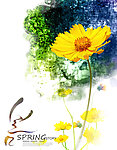 花纹