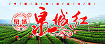 泉城绿茶标志