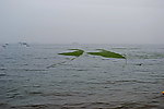 青岛景观