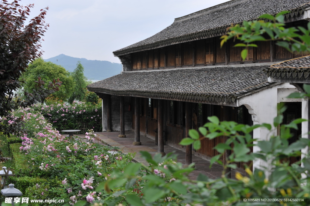 堂前绿荫