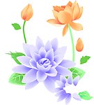 花纹