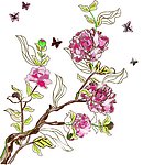 花卉