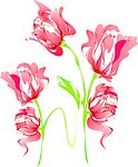 花卉