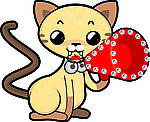 猫咪