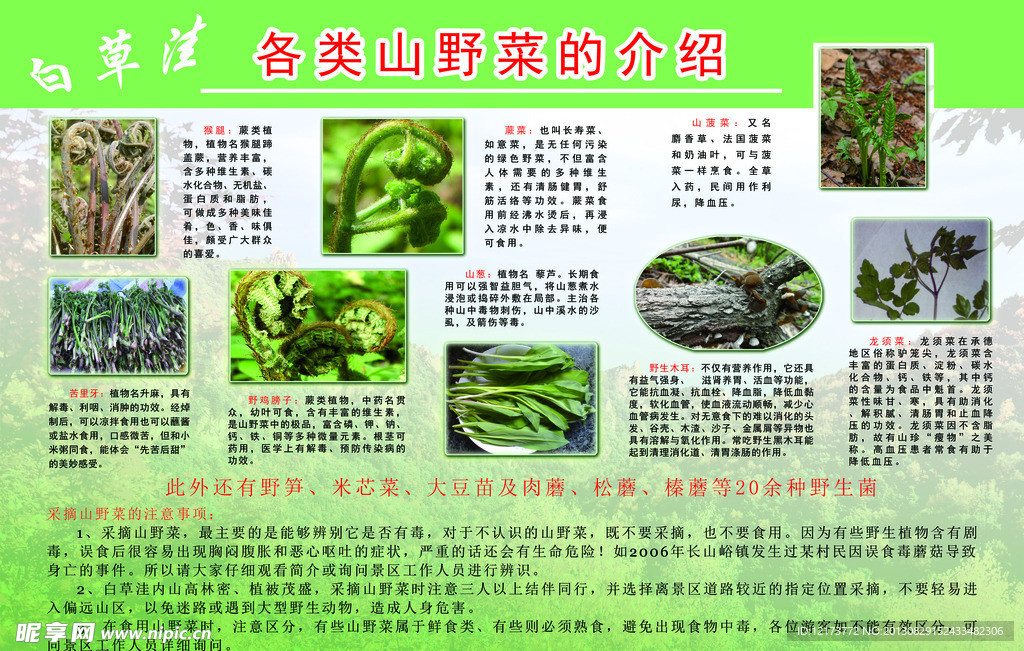 白草洼展板