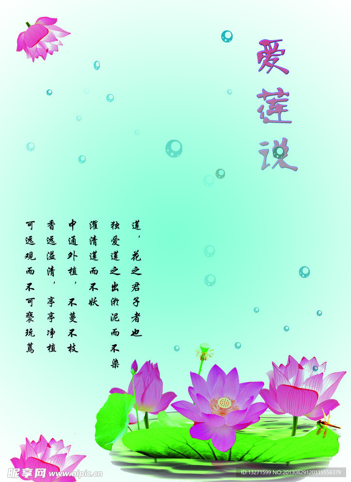 莲花 爱莲说
