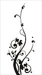花纹