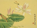莲花