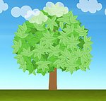 绿色植物生长