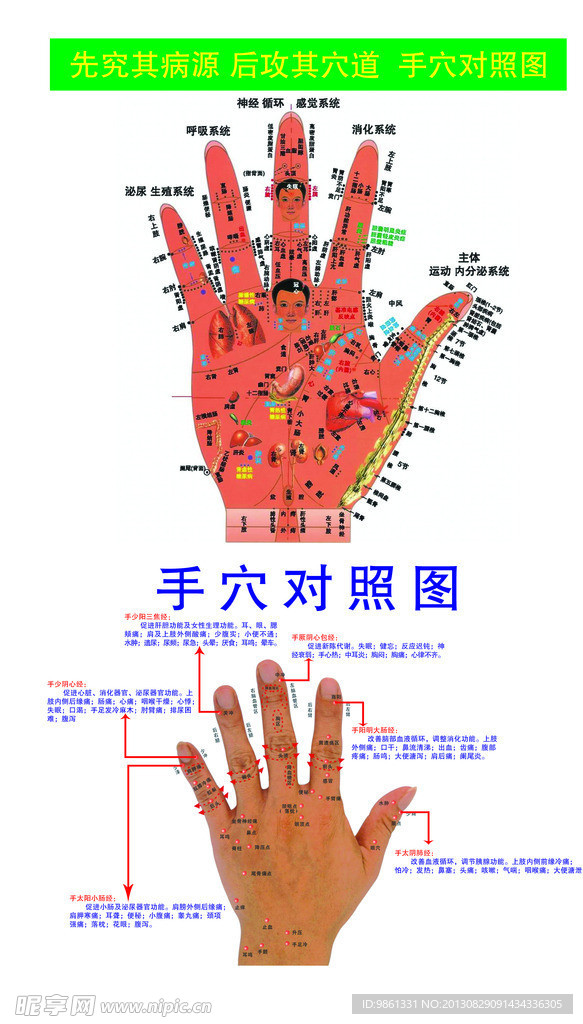 手穴对照图