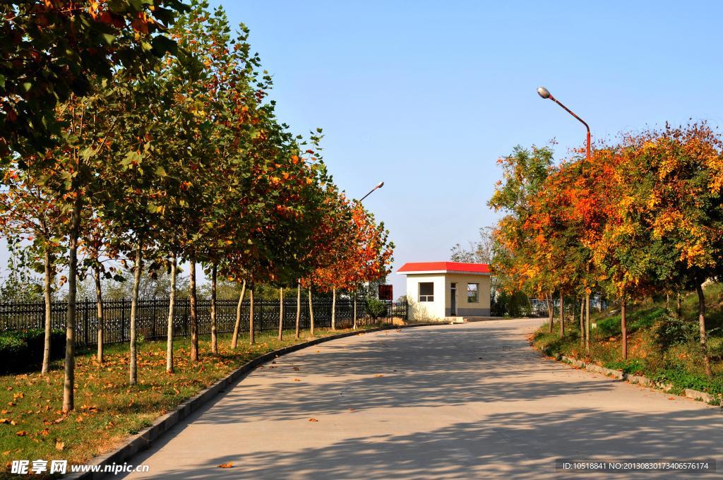 小路