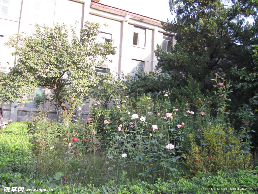 西安交通大学