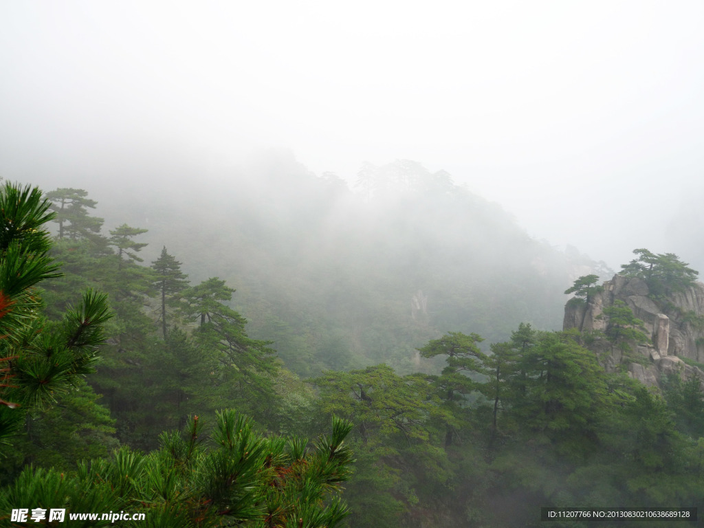 黄山云雾