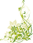 花纹