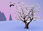 树枝上的雪花