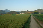 田园风光