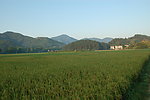 田园风光