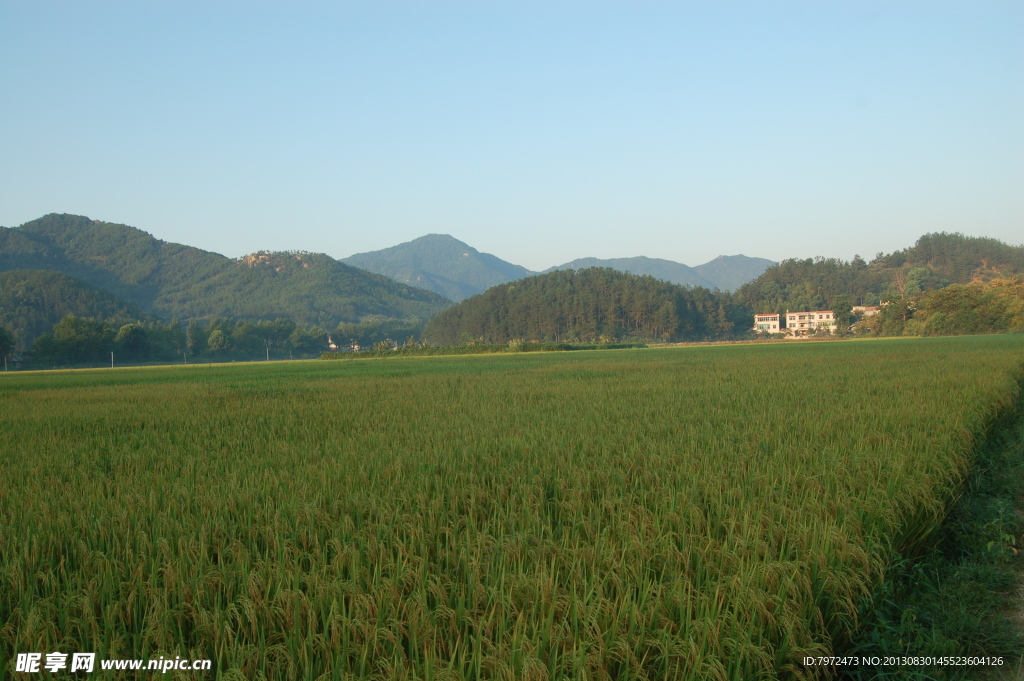 田园风光