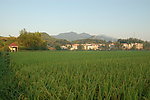 田园风光